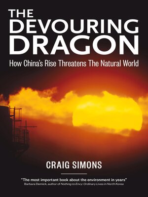 cover image of The Devouring Dragon